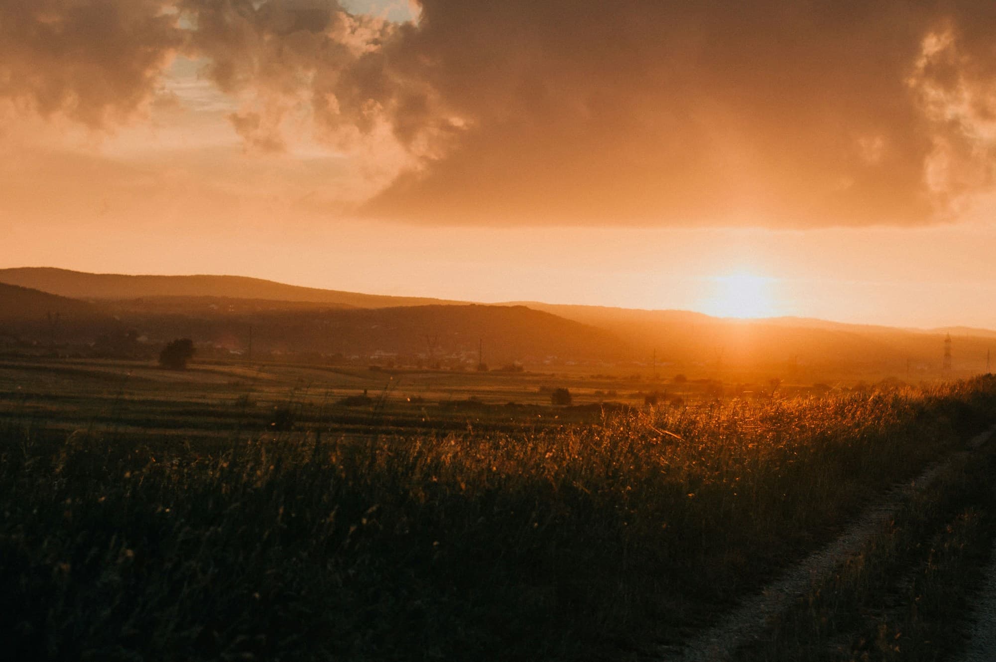 Warm evening light across a grassy landscape